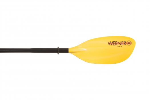 Werner Tybee